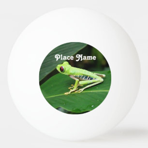 Bolinha De Ping Pong Sapo de árvore de Costa Rica