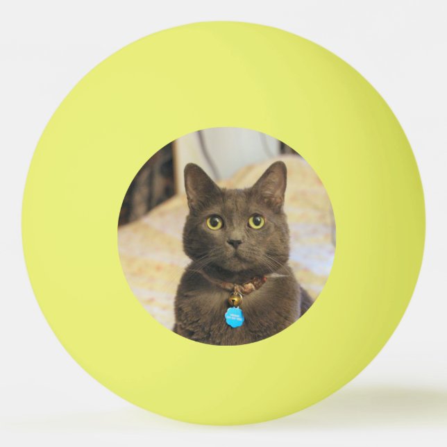 Bolinha De Ping Pong Sinais (Frente)