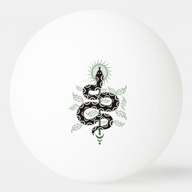 Bolinha De Ping Pong Snake Oasis (Frente)