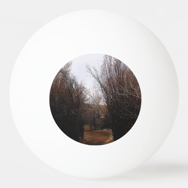 Bolinha De Ping Pong Sobrecarga de Bannack de Queda (Frente)