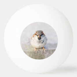 Bolinha De Ping Pong Sparrow - O Guerreiro