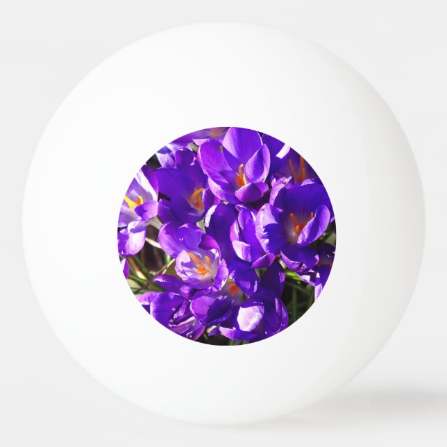 BOLINHA DE PING PONG SPRING CROCUS (Frente)