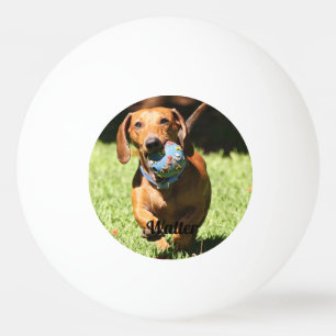 Bolinha De Ping Pong Texto e Foto de Pet Personalizados
