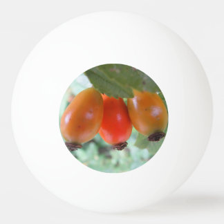 Bolinha De Ping Pong Three orange rosehips
