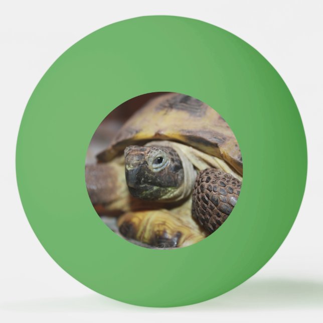 Bolinha De Ping Pong Tibbs (Frente)