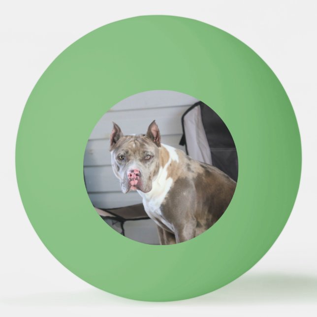 Bolinha De Ping Pong Touro Pitt (Frente)