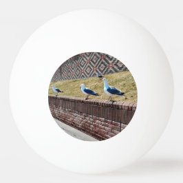 Bolinha De Ping Pong Três gaivotas