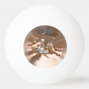 Bolinha De Ping Pong Três Meerkats Divertidos No Sol, Ping Pong Ball