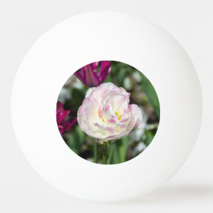 Bolinha De Ping Pong Tulipas cor-de-rosa brilhantes num dia ensolarado