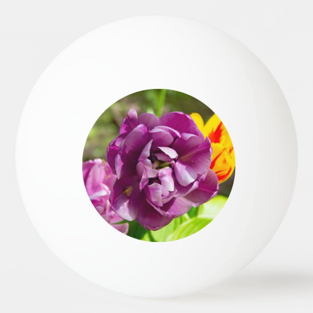 Bolinha De Ping Pong Tulipas lilás num dia ensolarado (Frente)