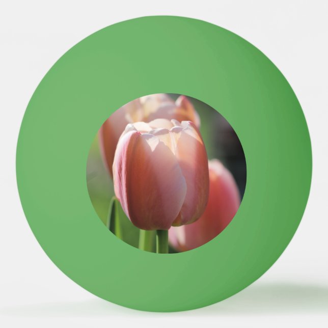 Bolinha De Ping Pong Tulipas Rosa (Frente)