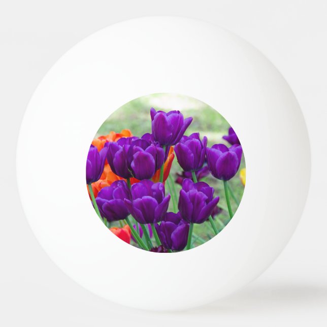 Bolinha De Ping Pong Tulipas roxas escuras quebra-cabeça    (Frente)