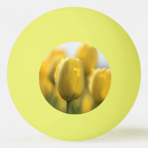 Bolinha De Ping Pong Tulipas solares