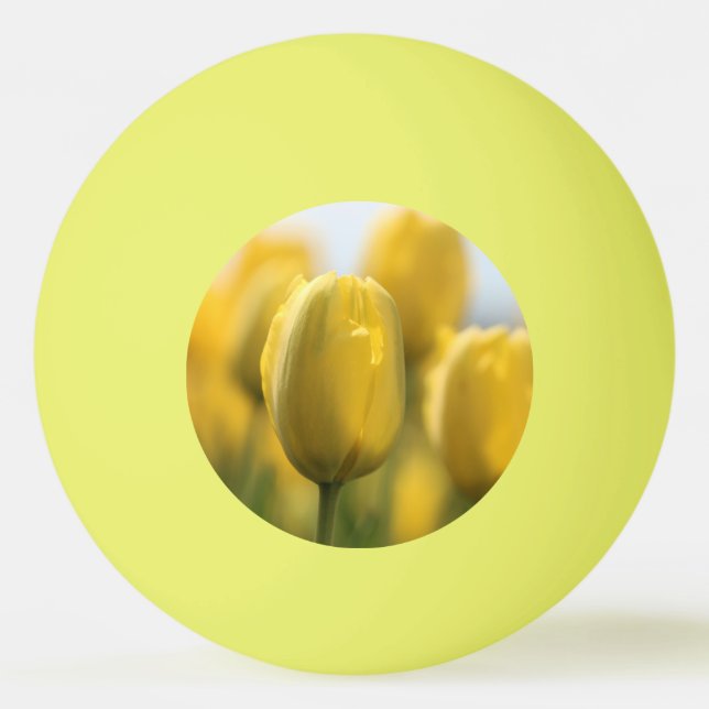 Bolinha De Ping Pong Tulipas solares (Frente)
