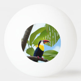 Bolinha De Ping Pong Turiano tropical em uma árvore