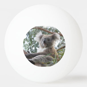 Bolinha De Ping Pong Urso de Koala