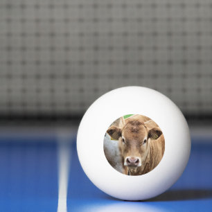 BOLINHA DE PING PONG VACA BONITA