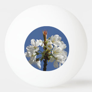 Bolinha De Ping Pong White Primavera Bloom