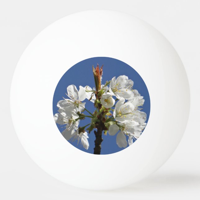 Bolinha De Ping Pong White Primavera Bloom (Frente)