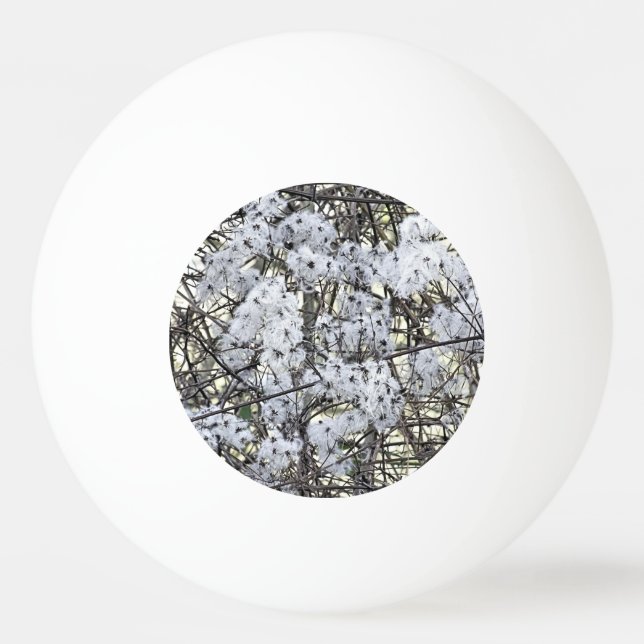 BOLINHA DE PING PONG WILD CLEMATIS (Frente)