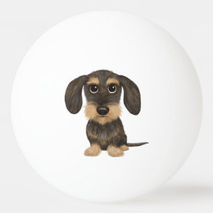 Bolinha De Ping Pong Wirehaired Dachshund   Cachorro de Cartoon Teckel
