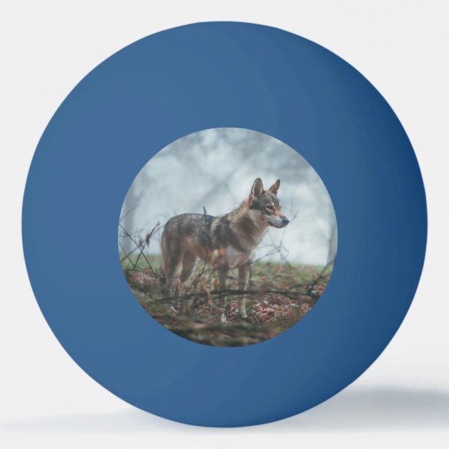 Bolinha De Ping Pong Wolfdog (Frente)