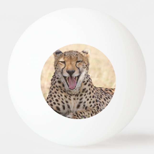 Bolinha De Ping Pong Yawning Cheetah (Frente)