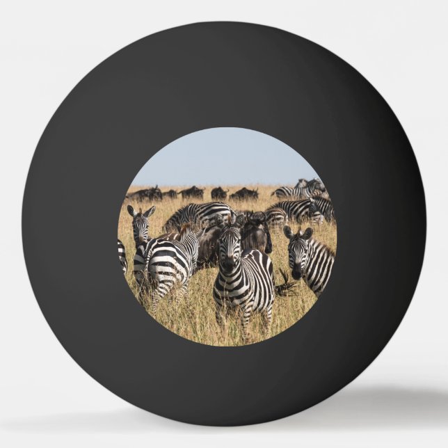 Bolinha De Ping Pong Zebra do Grant (Frente)