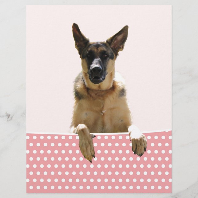 Bolinhas Rosa german shepherd (Frente)