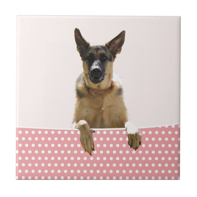 Bolinhas Rosa german shepherd (Frente)