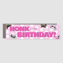 Bolinhas Rosa Pioneira de Gatos