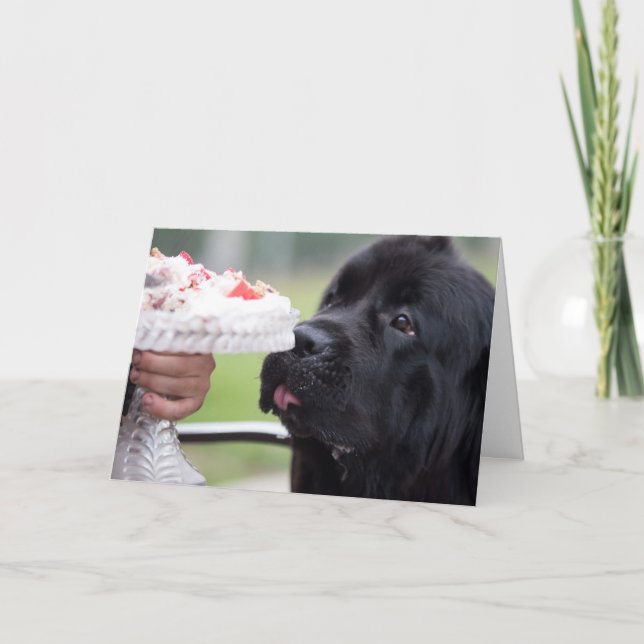 Bolo de aniversário e cartão de cachorro (Frente)