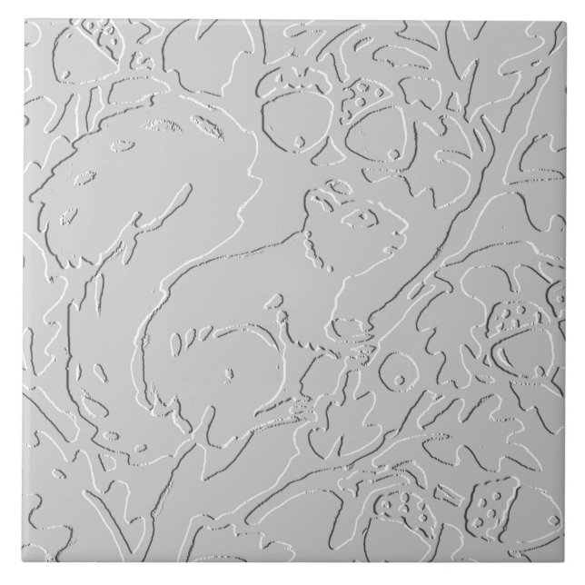 Bolota Preta-Embaralhada-Cinza Branca-Esquilo (Frente)