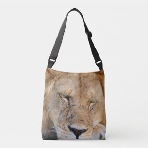 Bolsa Ajustável A single sleeping lion. Africa Serengeti