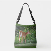 Adorável Fawn