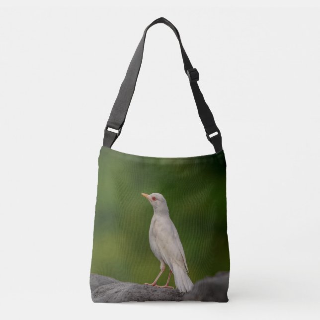 Bolsa Ajustável Albino Robin em Crown Point (Frente)
