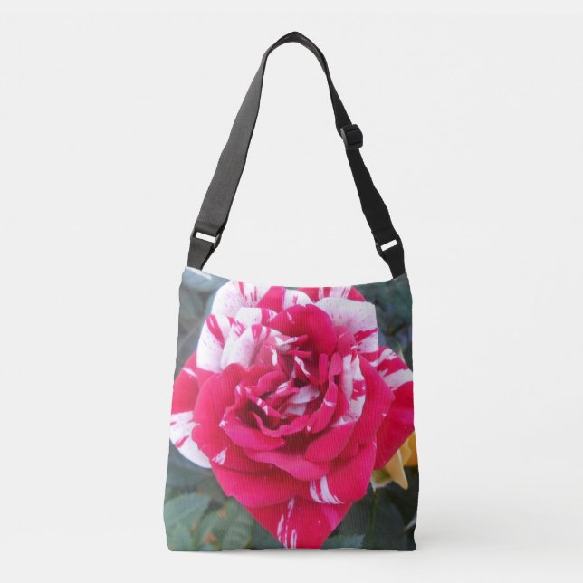 Bolsa Ajustável Anicia (Frente)