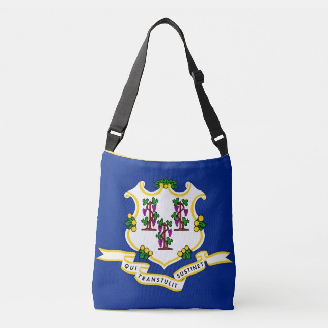 Bolsa Ajustável Bandeja de Sinalizador, Conexão (Frente)