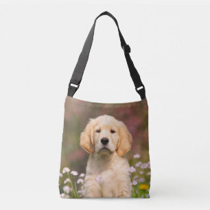 Bolsa Ajustável Cachorro de Ouro Cachorro de Retriever - Fotografi