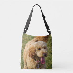 Bolsa Ajustável Cão de Goldendoododododle Adorável
