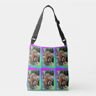 Bolsa Ajustável Cavalier Spaniel Sooky Face,