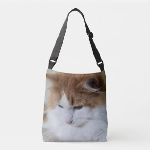 Bolsa Ajustável Contemplação do Gatinho (Rico Felino): Foto Cat