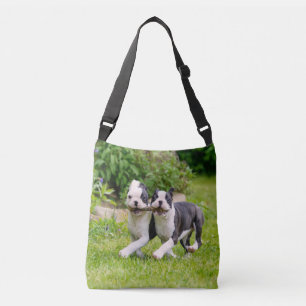 Bolsa Ajustável Filhotes engraçados de Boston Terrier brincando -