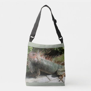 Bolsa Ajustável Foto Iguana Lizard da América do Sul