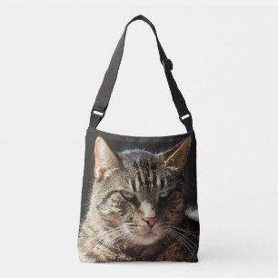 Bolsa Ajustável Gato de gato malhado Grouchy