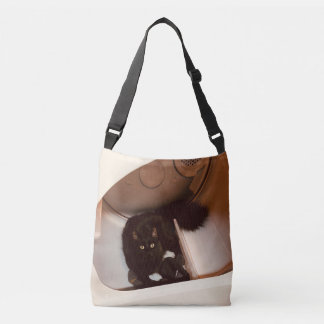 Bolsa Ajustável Gato em um secador