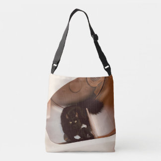 Bolsa Ajustável Gato em um secador