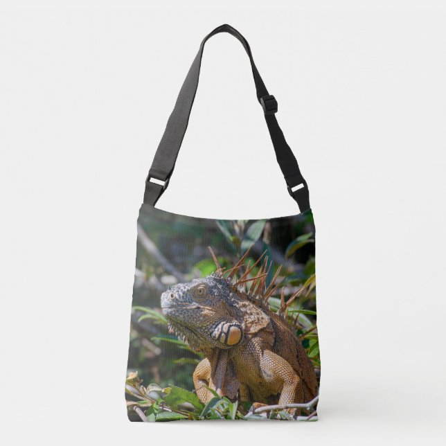 Bolsa Ajustável Iguana Marrom e Laranja na Natureza (Frente)