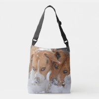 Lebreiros nevado dos narizes