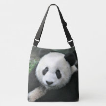 Panda Gigante em Prado Verde Tranquilo